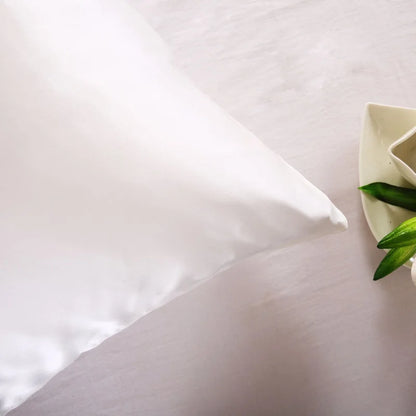 Mulberry Silk Pillowcase