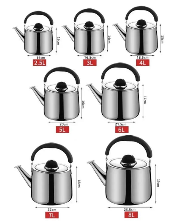 Shiny 304 Stainless Steel Kettle