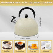 Stainless Steel Kettle