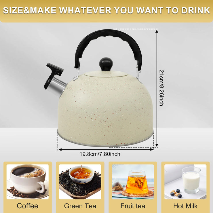 Stainless Steel Kettle