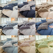 4 Pieces 2 Side Color Bedding Set