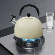 Stainless Steel Kettle