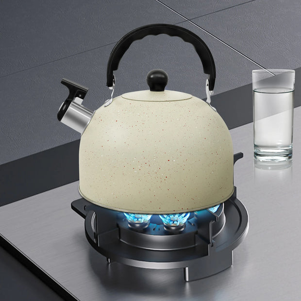 Stainless Steel Kettle