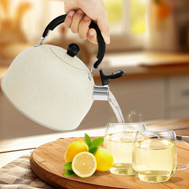 Stainless Steel Kettle