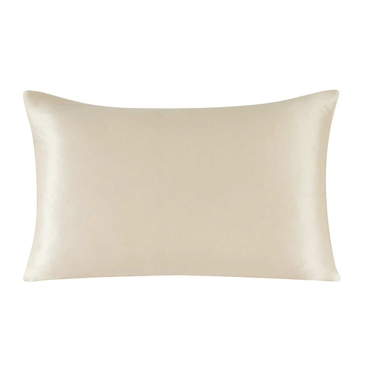 Mulberry Silk Pillowcase