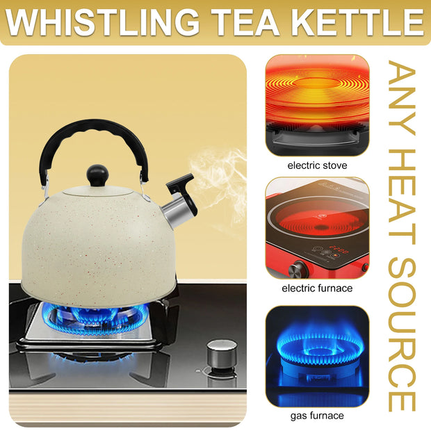 Stainless Steel Kettle