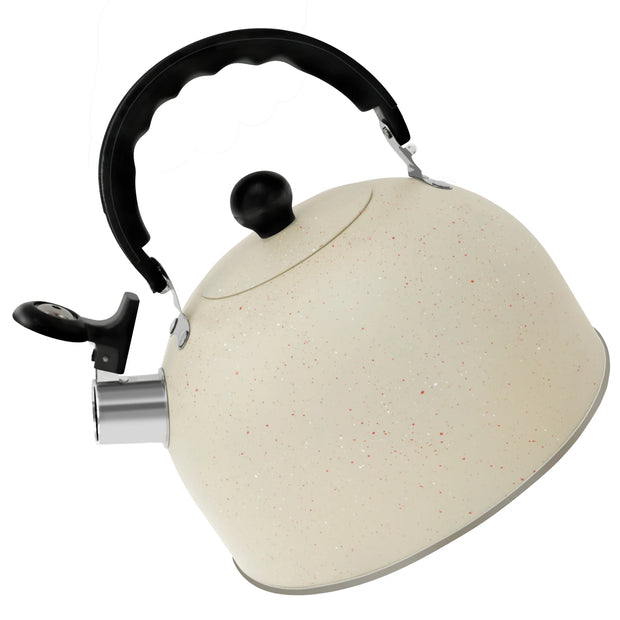 Stainless Steel Kettle