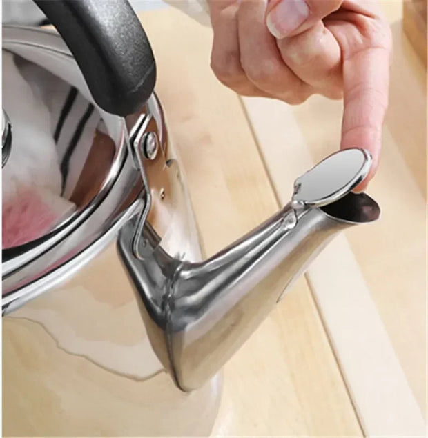 Shiny 304 Stainless Steel Kettle