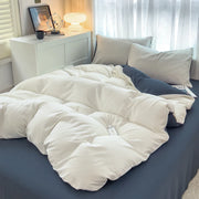 4 Pieces 2 Side Color Bedding Set