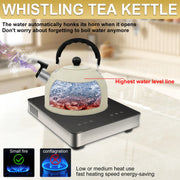 Stainless Steel Kettle