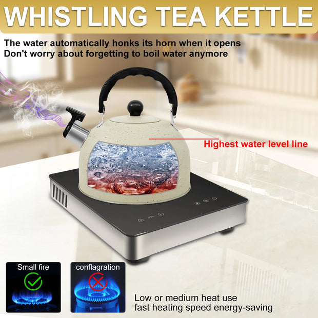 Stainless Steel Kettle
