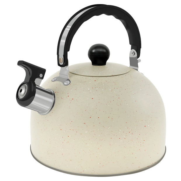 Stainless Steel Kettle